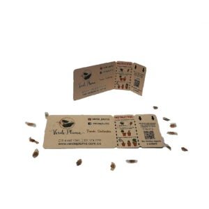 Tarjetas Biodegradables Con Semillero
