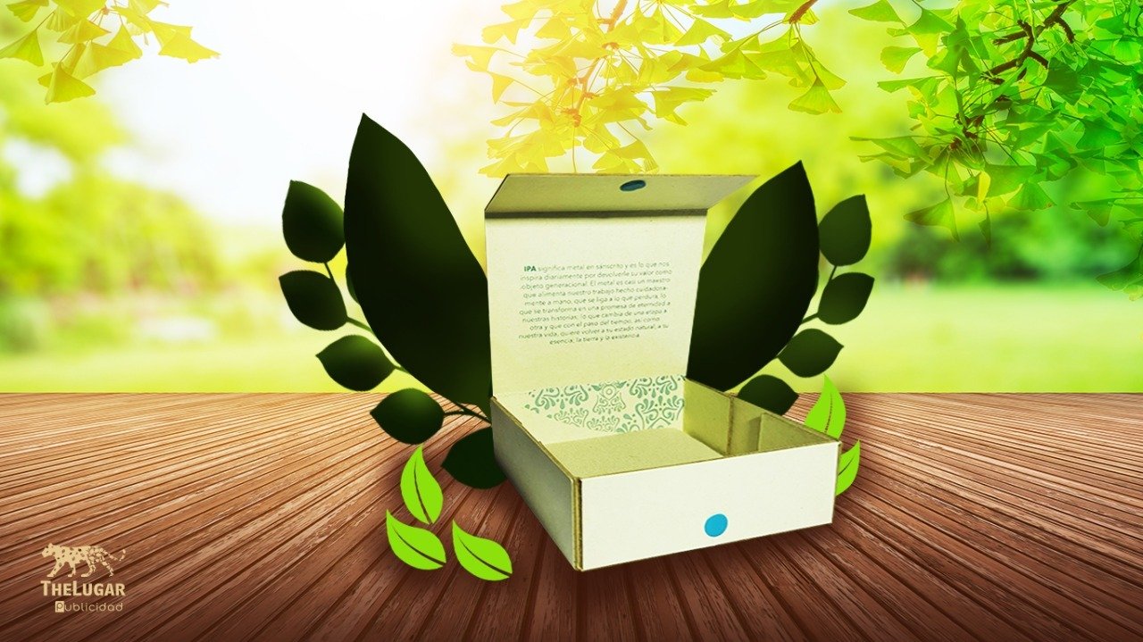 WhatsApp Image 2023-01-12 at 11.58.41 AM (5)